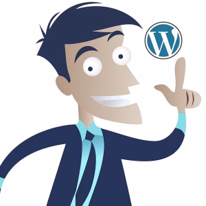 hébergeur wordpress