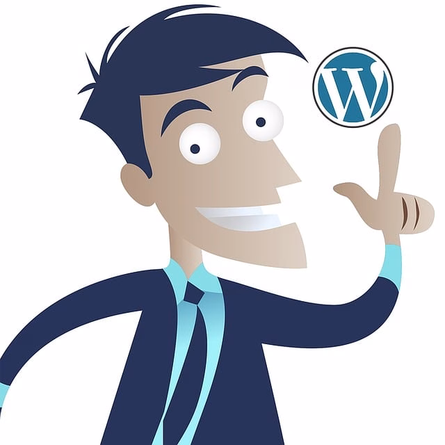 hébergeur wordpress